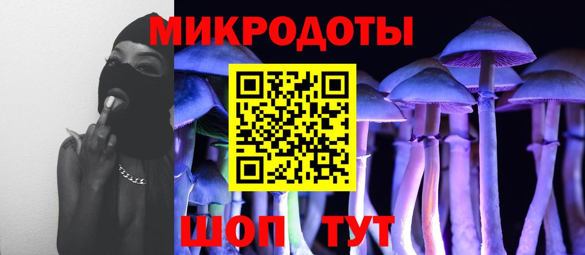 Галлюциногенные грибы прущие грибы Сертолово