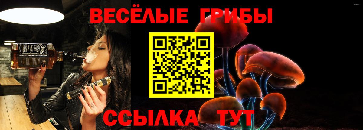 Псилоцибиновые грибы Cubensis  Псилоцибиновые грибы Magic Shrooms  Вход с VPN  Сертолово 